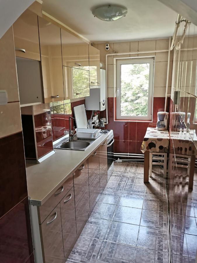 Confortable Cozy Apt ブカレスト エクステリア 写真