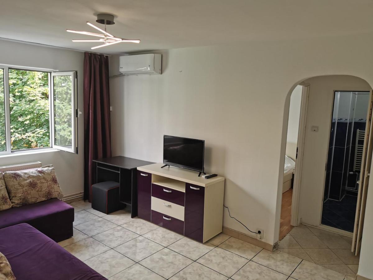 Confortable Cozy Apt ブカレスト 部屋 写真